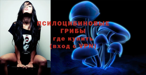 PSILOCYBIN Дмитриев
