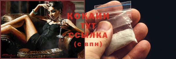 PSILOCYBIN Дмитриев