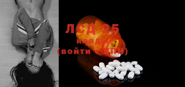PSILOCYBIN Дмитриев