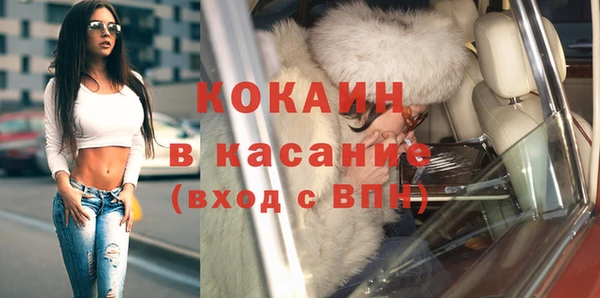PSILOCYBIN Дмитриев
