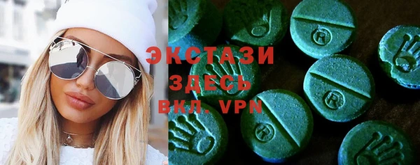 индика Елабуга
